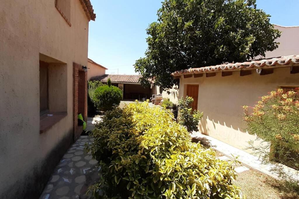 Casa Rural La Paloma - Zamora Manganeses de la Lampreana Eksteriør bilde